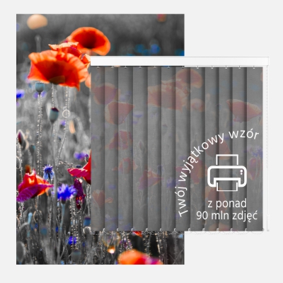 Żaluzje pionowe z nadrukiem